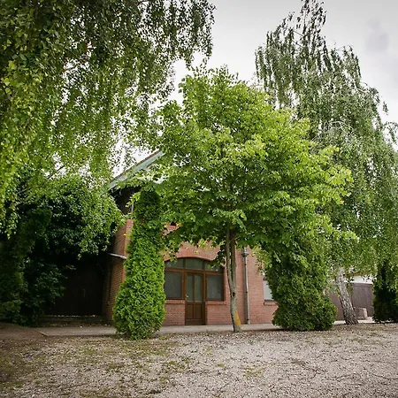 Forrás *